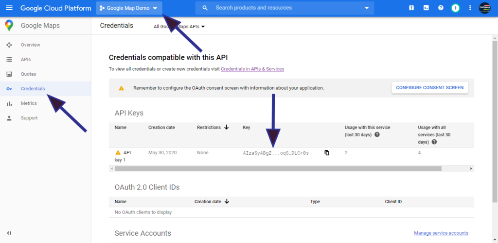 API key to access the Google Maps servers